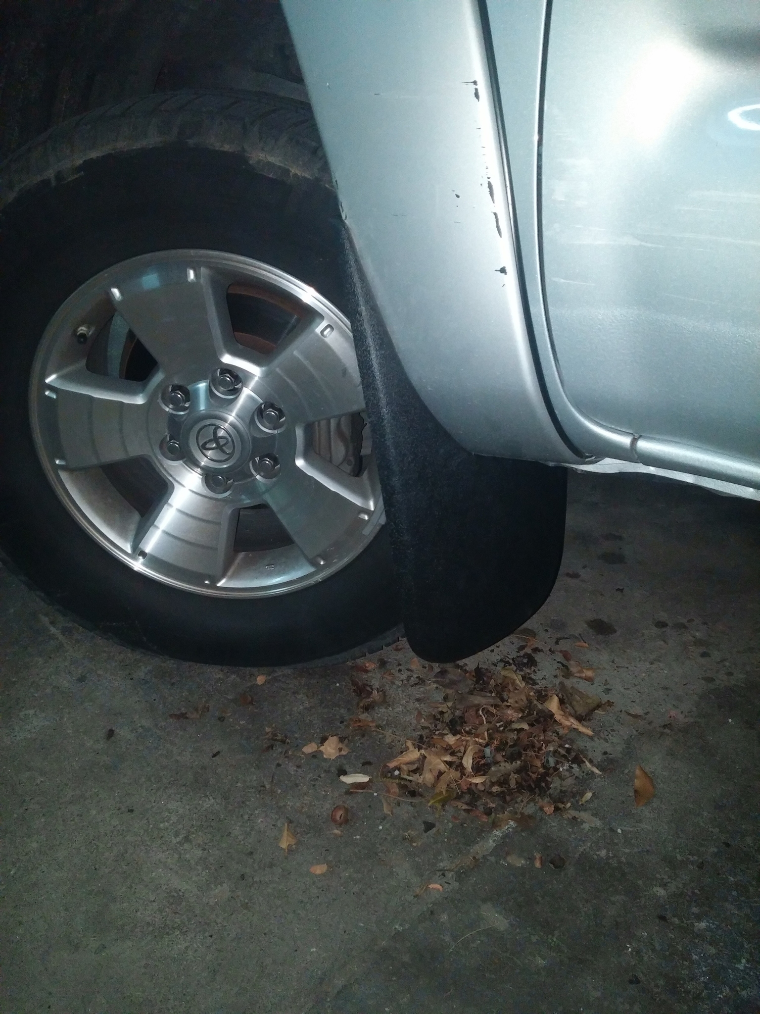 HOW TO: Replace Toyota Mudflaps
